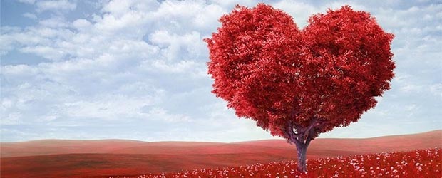 эффективное удержание клиента