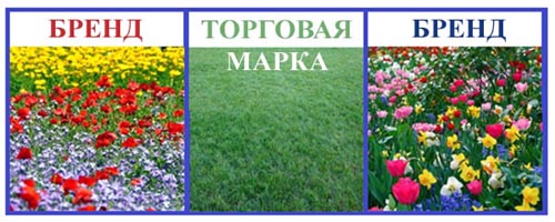 Бренд это торговая марка с эмоциями